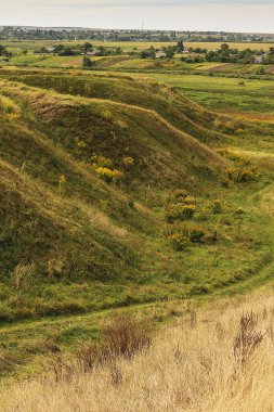Yumuşak tepeler, altın çimenler ve doğada uzanan eğri bir patikadan oluşan sonbahar manzarası..