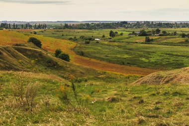 Sonbahar otlarıyla kaplı kırsal tepeler. Açık arazide bir patika var..