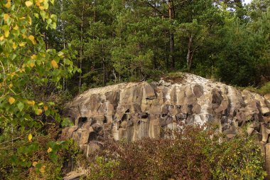 Sütun bazalt ve ağaçlar arasında yıpranmış taş dokuları içeren doğal taş ocağı kayalığı..