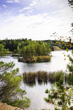Ada ve karışık ormanlı doğal göl manzarası, yumuşak ışık ve durgun su sakin ve huzurlu bir hava yaratıyor..