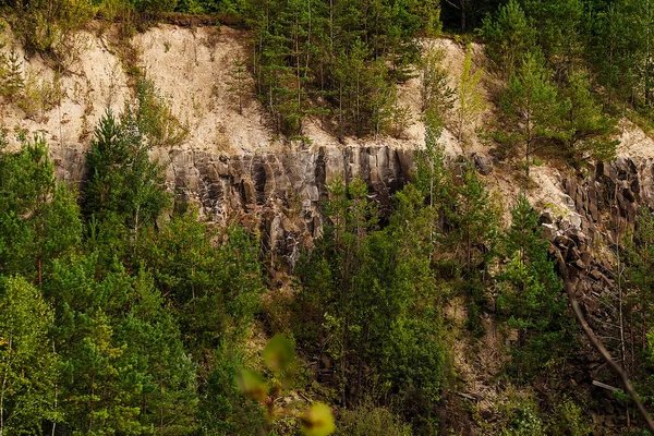 Yeşil ağaçlarla çevrili eski taş ocağındaki bazalt kaya duvarı, dramatik doğal jeoloji ve doğa tarafından geri kazanılan endüstriyel miras..