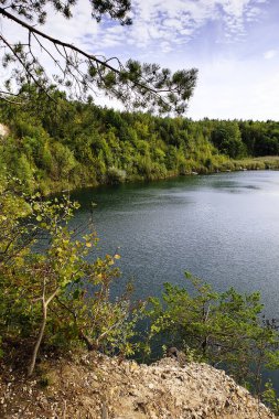 Ağaçlar, tatlı su ekosistemi ve dinlendirici açık hava ortamı ile huzurlu göl manzarası.