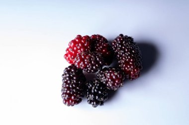 Makro görünümlü Morus cinsinin dutları.