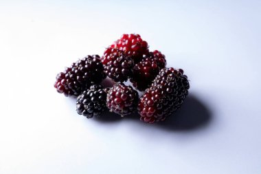 Makro görünümlü Morus cinsinin dutları.