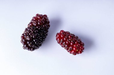 Makro görünümlü Morus cinsinin dutları.