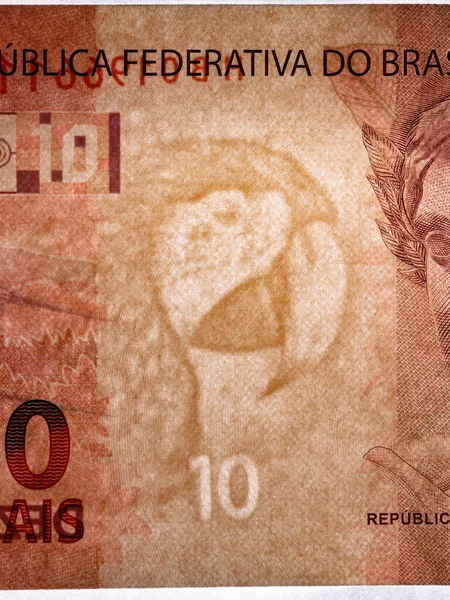 Moneta Carta Brasiliana Dieci Reais — Foto Stock