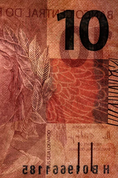 Бразильські Паперові Гроші Десяти Реалів — стокове фото