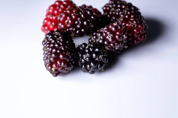 Mulberries Genus Morus Macro View — Stock Photo, Image