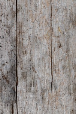 Doğa odununun makro dokusu