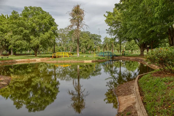 Cassilandia Mato Grosso Sul Brazilië 2020 Open Wandelgebied Elza Vendrame — Stockfoto