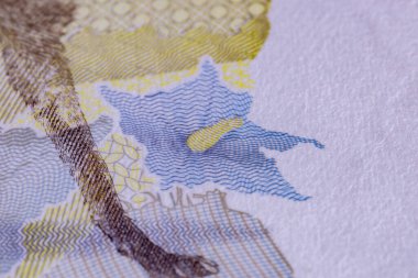 Cassilandia, Mato Grosso do Sul, Brezilya - 2020 12 23: Macro view 200 reais Brazilya 'nın yeni banknotunun ayrıntıları