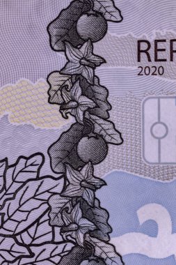 Cassilandia, Mato Grosso do Sul, Brezilya - 2020 12 23: Macro view 200 Reais Brezilya banknotunun tiraja giren yeni ayrıntıları