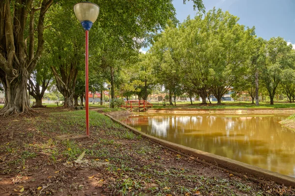 Cassilandia Mato Grosso Sul Brazilië 2020 Open Wandelgebied Elza Vendrame — Stockfoto