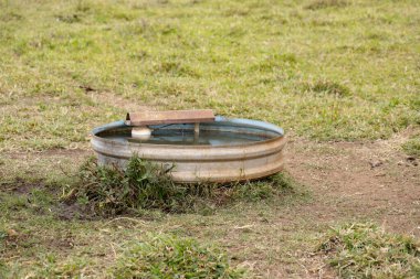 Çiftlikteki bir çayır tarlasında sığır için suyu olan metal inek suyu.