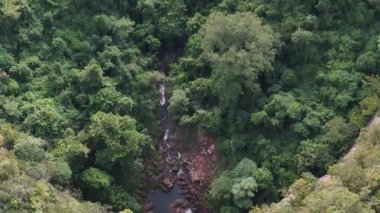 İnsansız hava aracı görüntüsü şelalenin üzerinden başlayıp kayalık bir havuza dalacak ve sonra yukarı doğru eğilip dereyi takip eden yoğun bir tropikal orman vadisini ortaya çıkaracak..