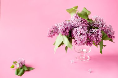 Eflatun çiçekli pembe arka plan. tebrik kartı, davetiye