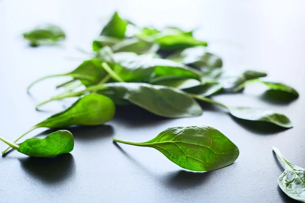 Grüne Spinatblätter auf grauem Hintergrund — Stockfoto