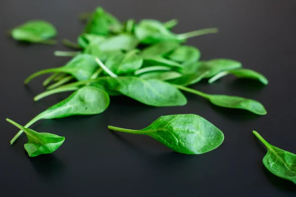 Grüne Spinatblätter auf schwarzem Hintergrund — Stockfoto