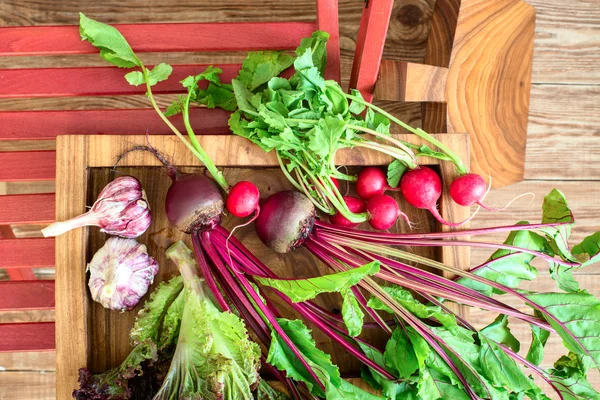 Harvest: beet, lettuce, garden radish, garlic on wooden tray — Stock Photo, Image