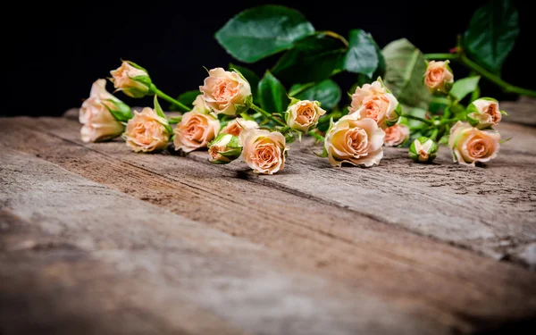 Smetana růžové růže s listy na dřevěné pozadí — Stock fotografie