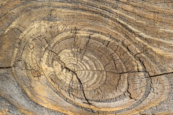 Natureza textura de madeira para fundo natural — Fotografia de Stock
