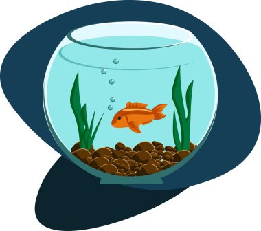 Akvaryumdaki balıklar