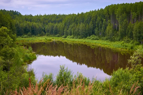 Sibirya ahşap göle