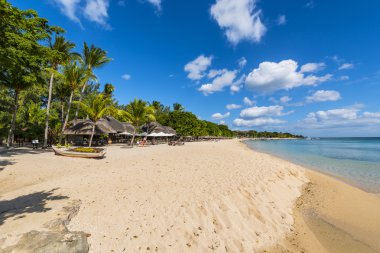 Mauritius plaj şemsiyeleri, thatch. Tropikal Mauritius Adası su ve beach resort, Turtle Körfezi - yün