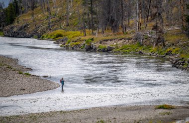 Nehir vadisi, kıyı şeridi ve dökülen yaprakları gösteren, sonbaharın başlarında Yılan Nehri 'nde uçan bir balıkçının görüntüsü yükseldi..