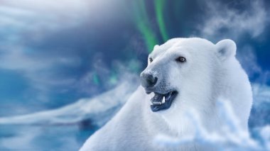 Kışın kar yağarken beyaz kutup ayısı. Güzel arkaplan .