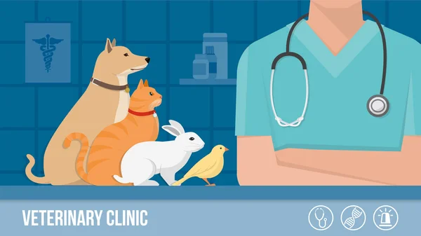 Dierenarts kliniek banner — Stockvector