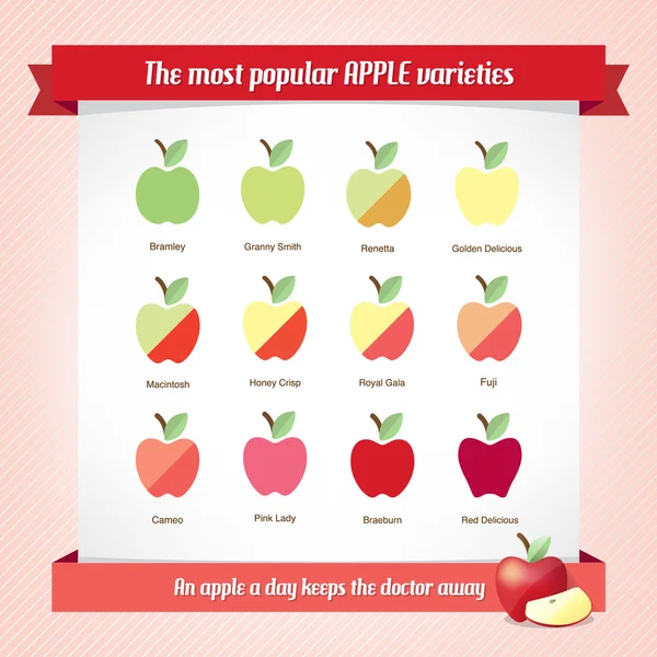 Μήλα τύποι γραφήματος — Διανυσματικό Αρχείο
