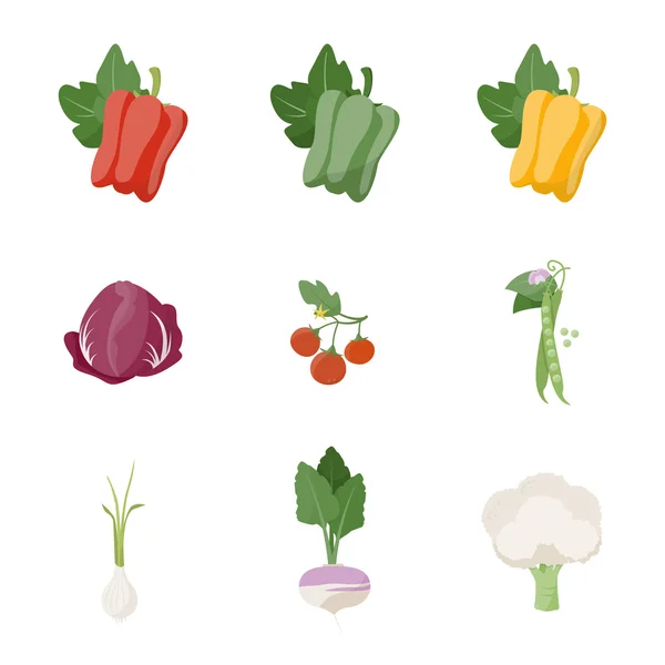 Garden fresh vegetables — Stock Vector