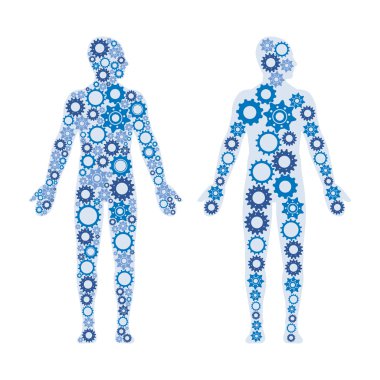 İnsan erkek organları vites oluşur