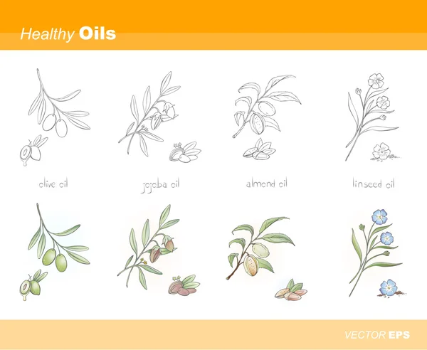 Set de aceites saludables — Archivo Imágenes Vectoriales