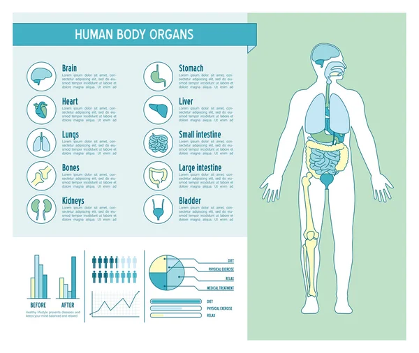 Human body health care infographics — Stock Illustration Human body health care infographics Stock Illustration