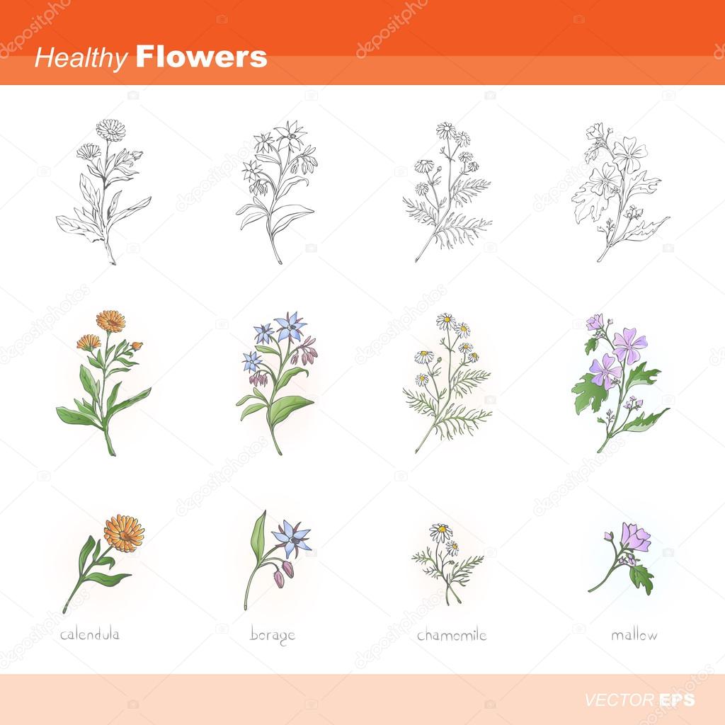 Healthy flowers icons set 
