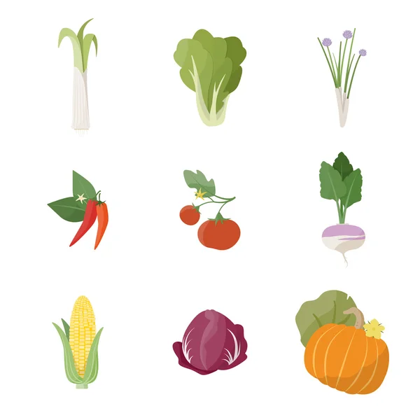 Jardín conjunto de verduras frescas — Vector de stock