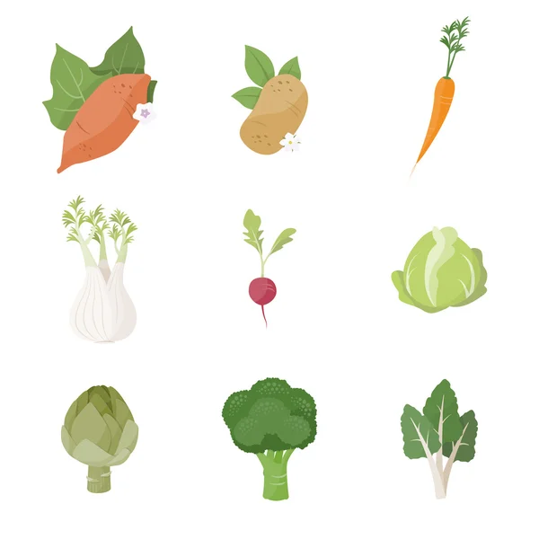 Garden fresh vegetables set — Stock Vector