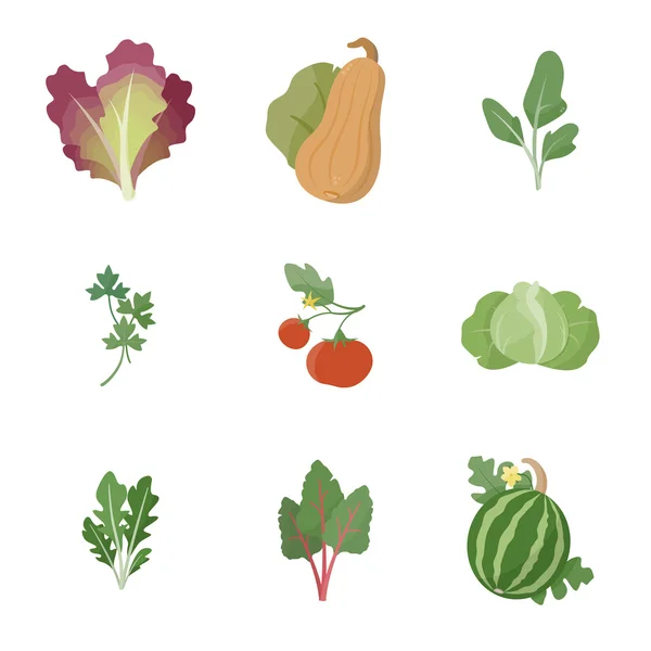 Jardín conjunto de verduras frescas — Vector de stock