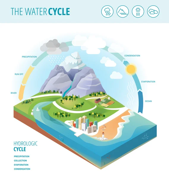El diagrama del ciclo del agua que muestra la precipitación — Vector de stock