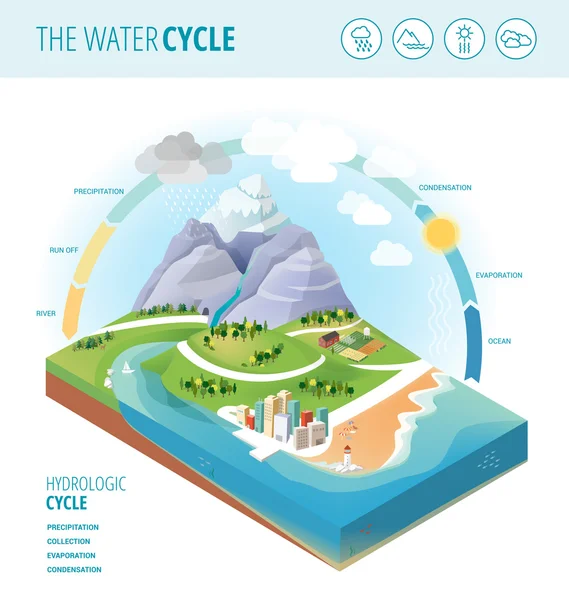 A víz körforgása diagram bemutatja a csapadék — Stock Vector