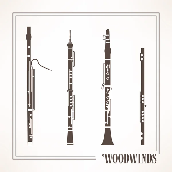 Instrumentos clásicos de viento madera — Archivo Imágenes Vectoriales