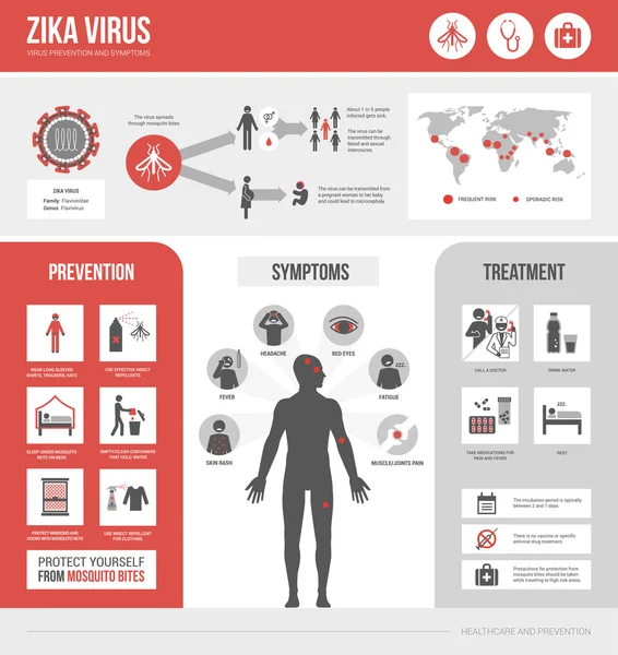 Gejala virus Zika infografis - Stok Vektor