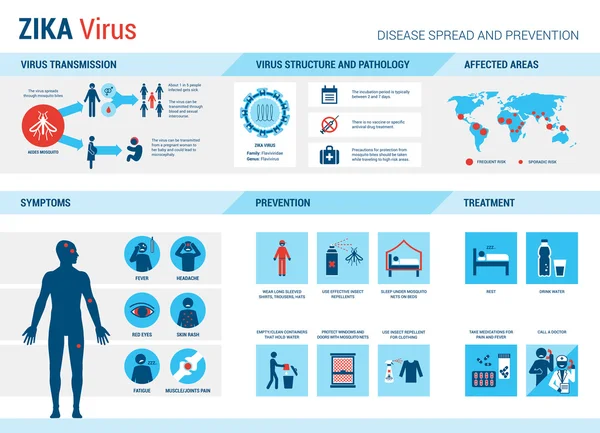 Infografica dei sintomi del virus Zika — Vettoriale Stock