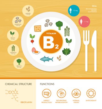 Vitamini beslenme Infographic