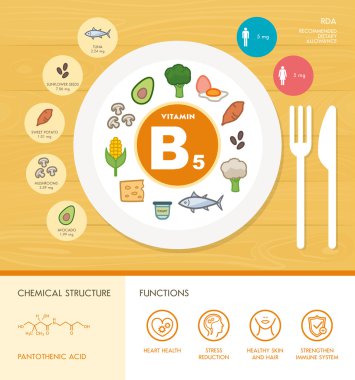 Vitamini beslenme Infographic