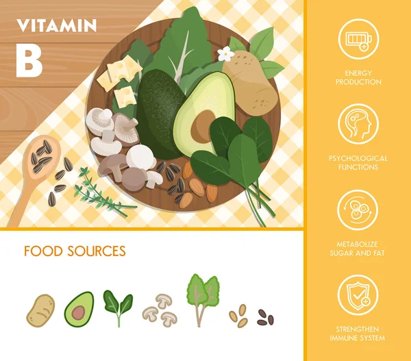 Vitamin-B-Komplexe Lebensmittel — Stockvektor