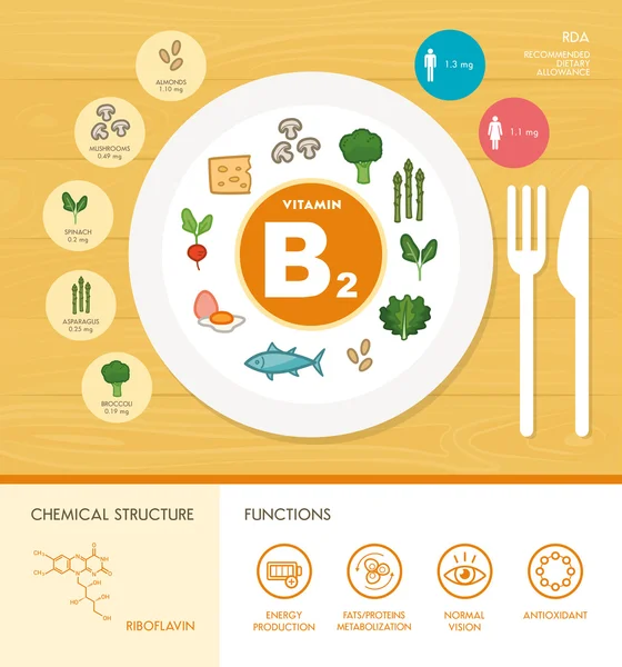 Vitamin nutrition infographic — Stock Vector