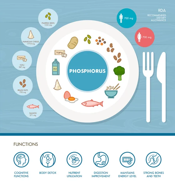 Infografis gizi mineral fosfor - Stok Vektor